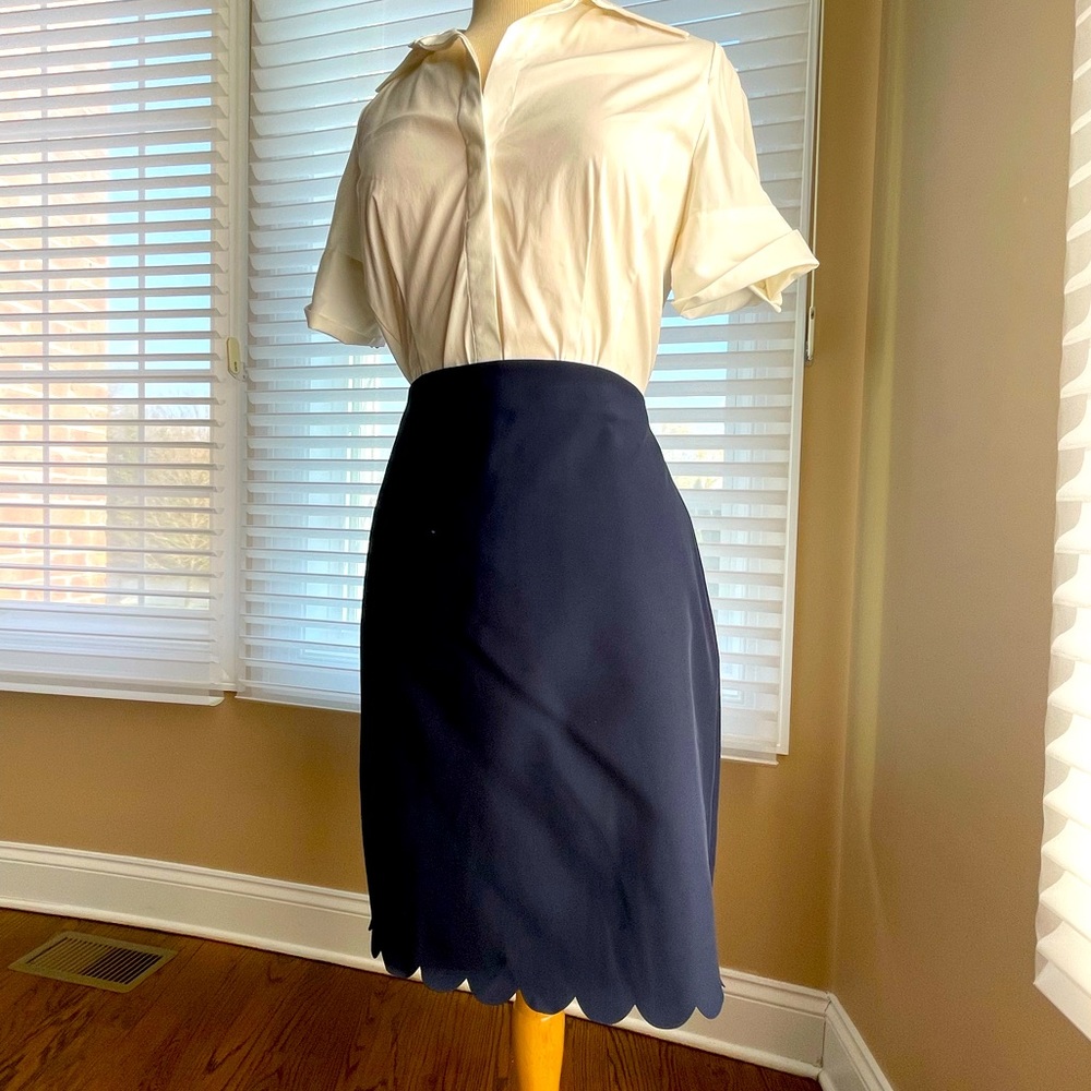 Scallop Bottom, Banana Republic Black Skirt, Size 10